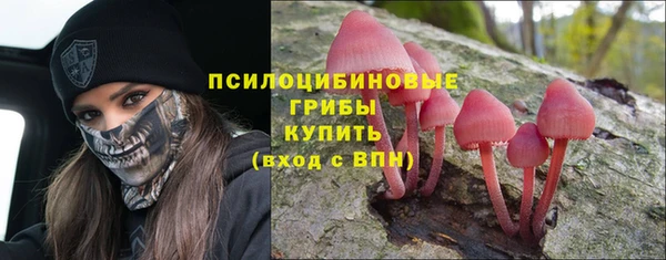 дурь Верея