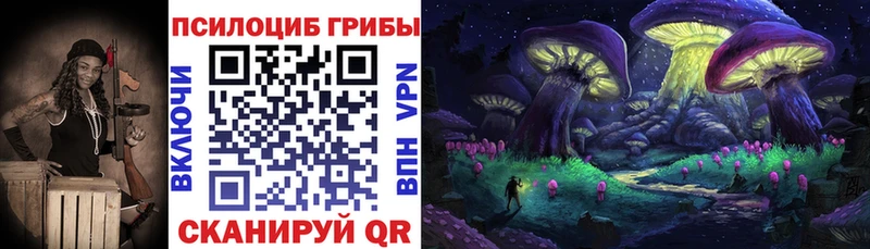 Галлюциногенные грибы Psilocybine cubensis  Купить где  Первомайск 