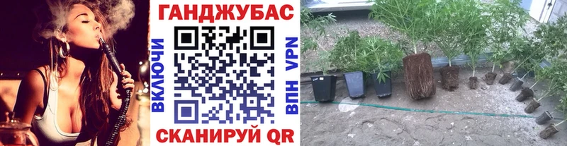 Шишки марихуана гибрид  Купить закладки  Первомайск 